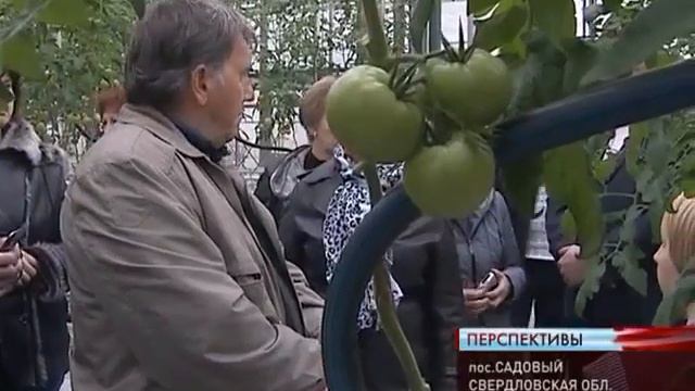 Визит Воронежской делегации к УГМК в Верхнюю Пышму.avi смотреть онлайн