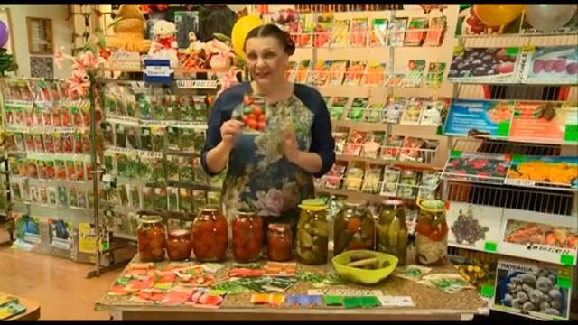 Госпожа у дачи 24 октября 2017 смотреть онлайн