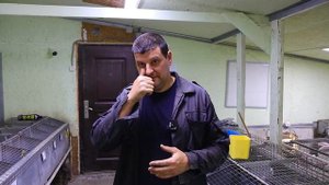 ВАКЦИНАЦИЯ ВГБК-1, ВГБК-2 , КОМУ, КОГДА, КАК?!