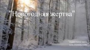 ''Новогодняя жертва'' - христианская повесть- читает Светлана Гончарова