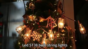 WENDADECO E12 Clear Plastic Vintage ST38 Bulb string lights 2200K in 2023