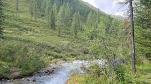 Путешествие на Алтай - Шавлинские озера