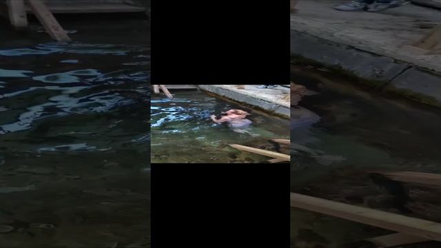 купель