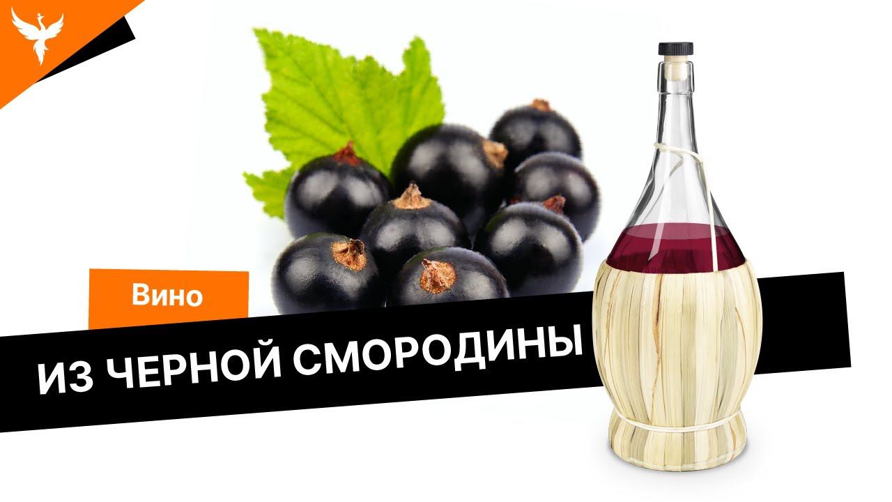 Вино из черной смородины