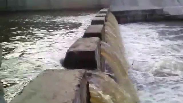 Заброшенные пляж и плотина на Барнаулке смотреть онлайн