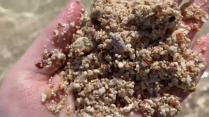 Кира приехала на райский остров! Купается с рыбками, находит красивые ракушки и путешествует на яхт