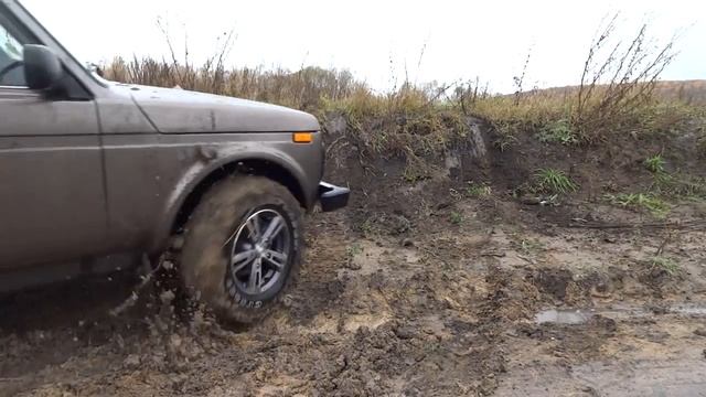 Нива. Лес и полевые дороги.