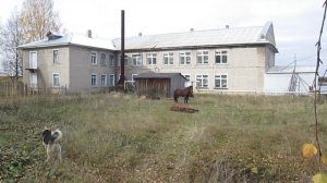 Созимские лошадки