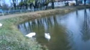 Кулебаки ул Кирова