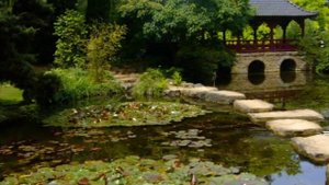 Японские сады