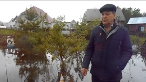 Пруд на даче-3.Караси по всему огороду.