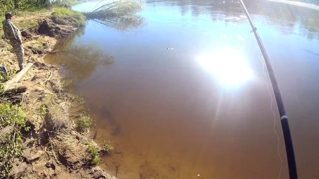 Разведка на реку КЕМЬ. Рыбалка на ельца смотреть онлайн