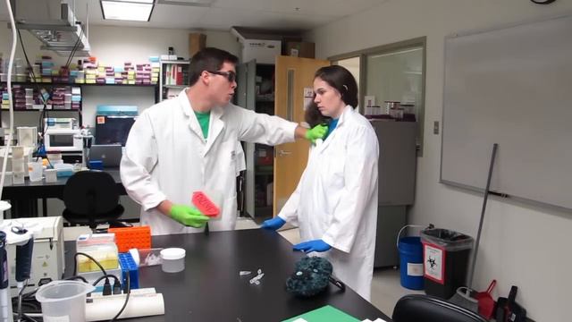 iGEM Style (Gangnam Style Parody) смотреть онлайн