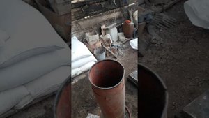 Измельчение кормового картофеля