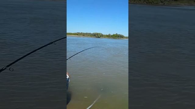 Каратал Рыбалка смотреть онлайн