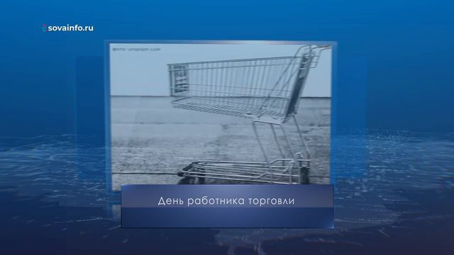 Всемирный день китов и дельфинов. Календарь Губернии от 23 июля