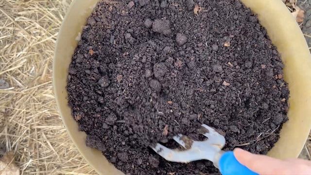 1 мая на даче . Теплица . Сажаю цветы . Поздравляю с праздником!