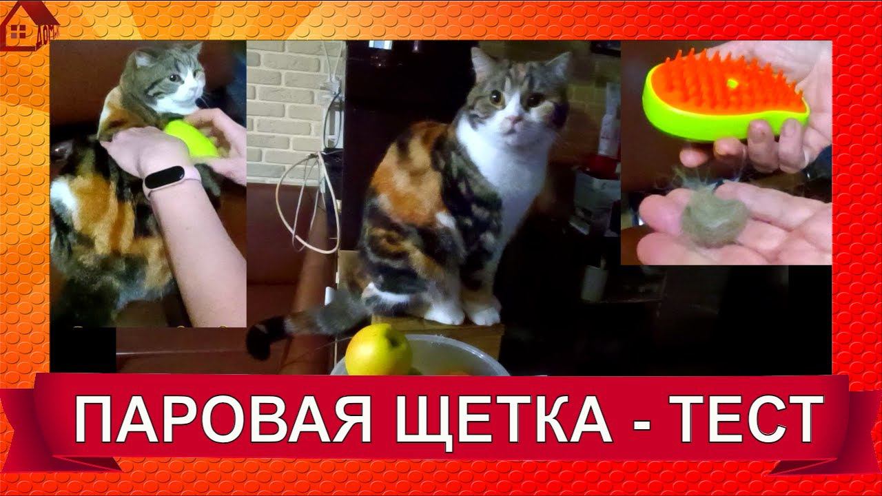 Избавляемся от шерсти! Паровая щетка для животных / Распаковка и тест/Cat Steamy Brush Review