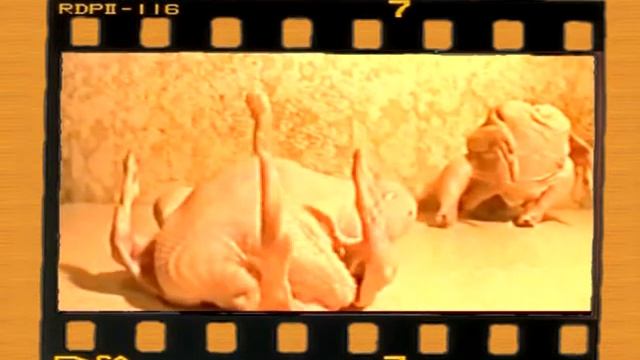 Куриное Озеро смотреть онлайн