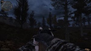 Dead Air Revolution stalker Волк, Молчание Золото