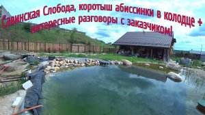 Савинская слобода, коротыш абиссинки в колодце + интересные разговоры с заказчиком