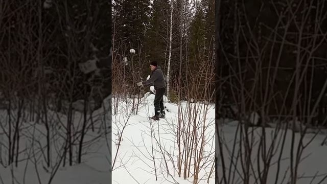 Как изготовить метлу из веток. И заработать. #своимируками #метла #ветки #длядома #уборкаснега