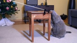 НЕОБЫЧНАЯ КОГТЕТОЧКА для КОТА / Cat and stool