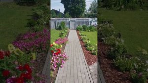 шпалера для плетистой розы