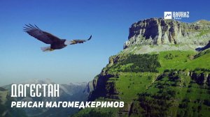 Рейсан Магомедкеримов - Дагестан | KAVKAZ MUSIC DAGESTAN