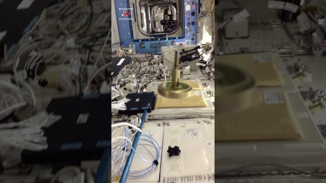 Эффект Джанибекова #shorts #iss #space #невесомость #космос #мкс