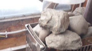 Тепло в теплице из углей