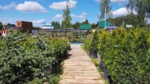 ДивоСад Смоленск