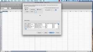 Excel 2008 for Mac- Importing Data from a Text File