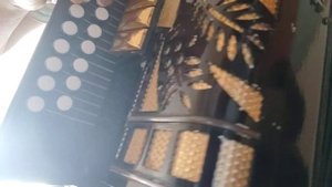 Ой то не ветер ветку клонит,   на гармони, цифры 89277382068