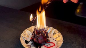 НЕГАТИВ И ПОРЧА СГОРЯТ! #магия #ритуалы #ритуал #советы #маг #любовь #исцеление #порча #негатив