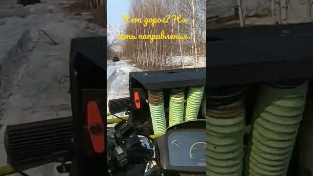 Дары природы. #квадроцикл #cfmoto #Odes смотреть онлайн