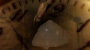 40 лет окончания школы