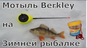 Тест силиконового мотыля Berkley для подледной рыбалки, на мормышку, в сравнении с безмотылкой. 3