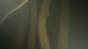 Ночная охота на Волге. ПОДВОДНАЯ ОХОТА | Подводные просторы России