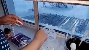 Подсветка рассады светодиодной лентой! Что, как и почему