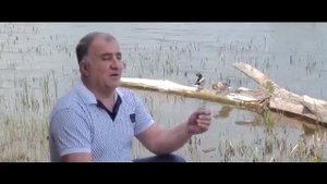 ГРИГОРИЙ АЛЕКСАНЯН TUN IM HAYRENI,ТУН ИМ АЙРЕНИ
