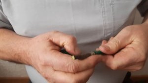 Зимняя прививка Ч2: Яблоня улучшенной копулировкой