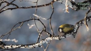 Осень разбросала листья - Андрей Гуляев