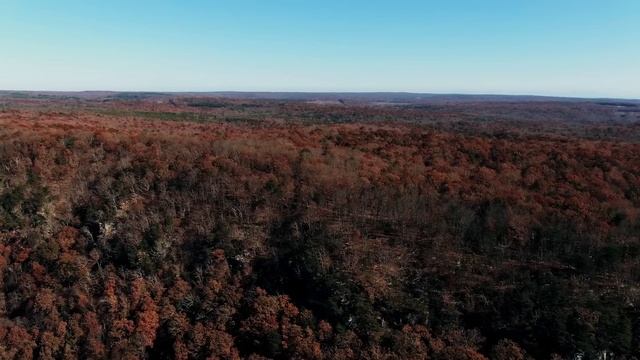 Богач вывез сироту в холодный лес и оставил там. А когда через 5 лет он решил навестить угасающих.. смотреть онлайн