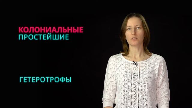 4. Предки животных. Зоология беспозвоночных -  7 класс