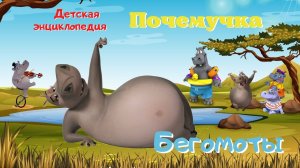 0+ Бегемоты. Интересные факты. Почемучка. Детская энциклопедия.