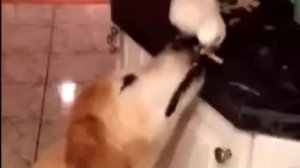 Есть друзья а для них у друзей нет выходных