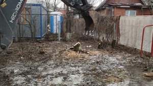 Корчевание пня зимой трактором