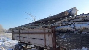 ПО ДРОВА НА Т-40! ПЕРВЫЙ ДЕНЬ