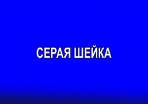 "Серая шейка"